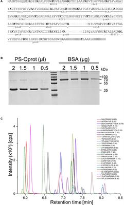 Absolute Quantification of Major Photosynthetic Protein Complexes in Chlamydomonas reinhardtii Using Quantification Concatamers (QconCATs)